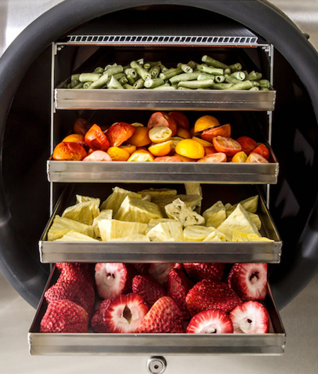 Freeze-drying process for protein drugs